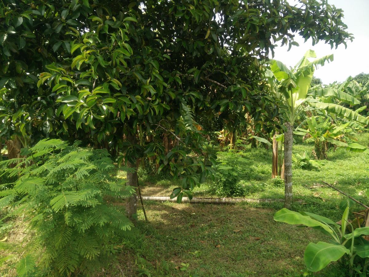 Deva Garden Resort Prachinburi Bagian luar foto