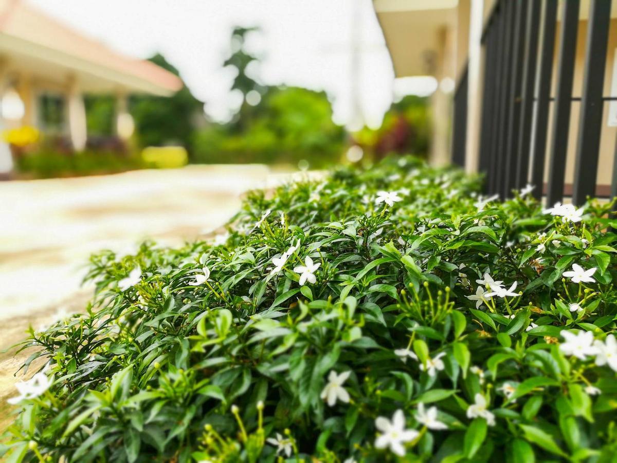 Deva Garden Resort Prachinburi Bagian luar foto